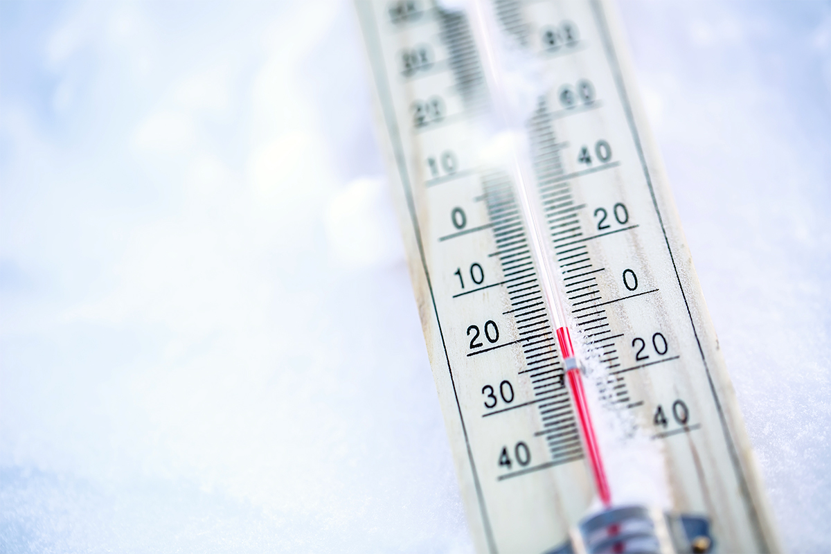freezer-rooms-low-temperature-uk Freezer Rooms Low Temperatures