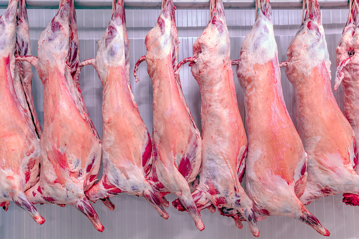 fresh-meat-cold-room-uk Fresh Meat Cold Room UK
