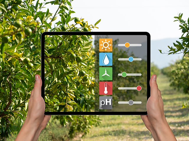 temperature-for-fruit-and-vegetable-cold-room temperature-for-fruit-and-vegetable-cold-room