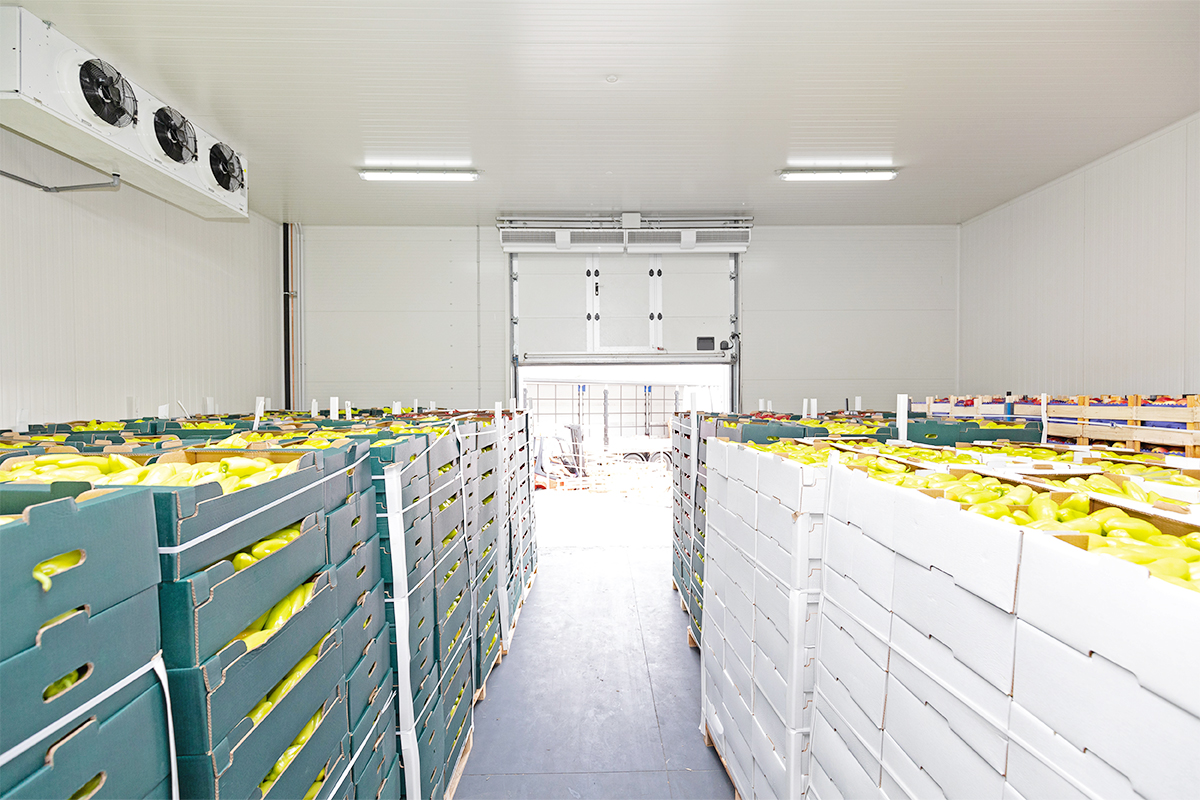 vegetable-cold-store-walkin-coldroom vegetable-cold-store-walkin-coldroom