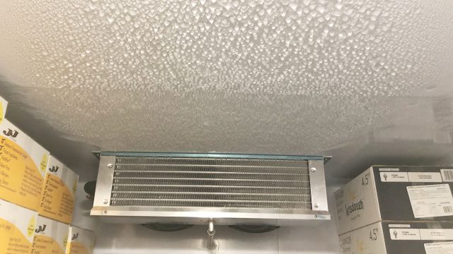 Why is my Cold Room Icing Up? Uncover Frosty Mystery!